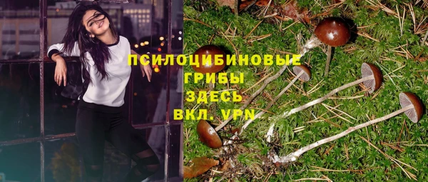 гидропоника Вяземский
